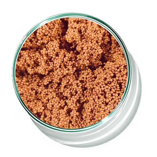 Tratamiento de aguas de cola bioquímico Resina descolorante marrón rojizo para la adsorción